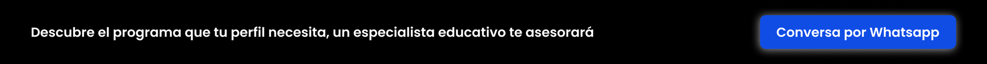 CINTILLO BLACKF