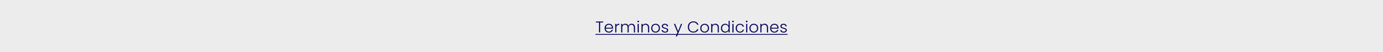 terminos y condiciones