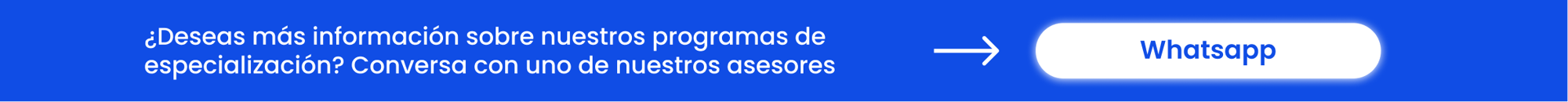 cintillo beca23 2-1