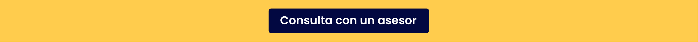 CINTILLO 2